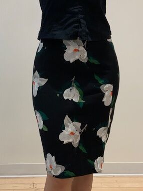Combo Banana Republic: 2 skirts, size 6